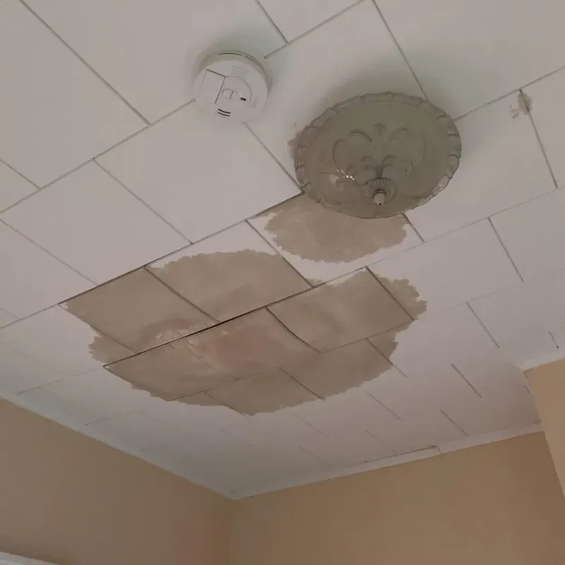 Ceiling Water Damage Repair in Houston, PA