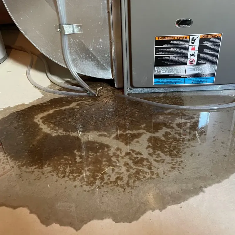 Pipe Burst and Leak Restoration in Houston, PA