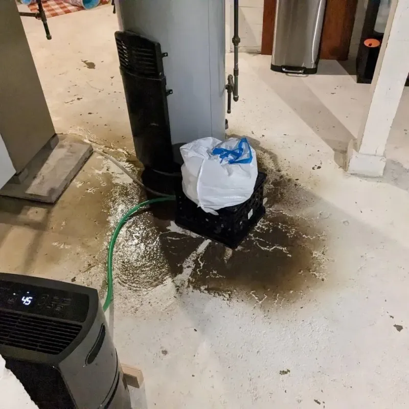 Sewage Backup Cleanup Service in Houston, PA